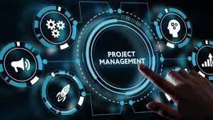 Program Management and Project Management